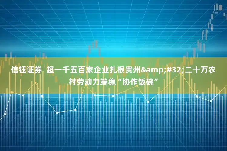 信钰证券  超一千五百家企业扎根贵州&#32;二十万农村劳动力端稳“协作饭碗”