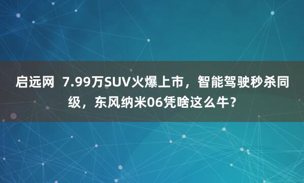 启远网  7.99万SUV火爆上市，智能驾驶秒杀同级，东风纳米06凭啥这么牛？