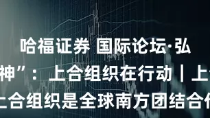 哈福证券 国际论坛·弘扬“上海精神”：上合组织在行动｜上合组织是全球南方团结合作的重要平台